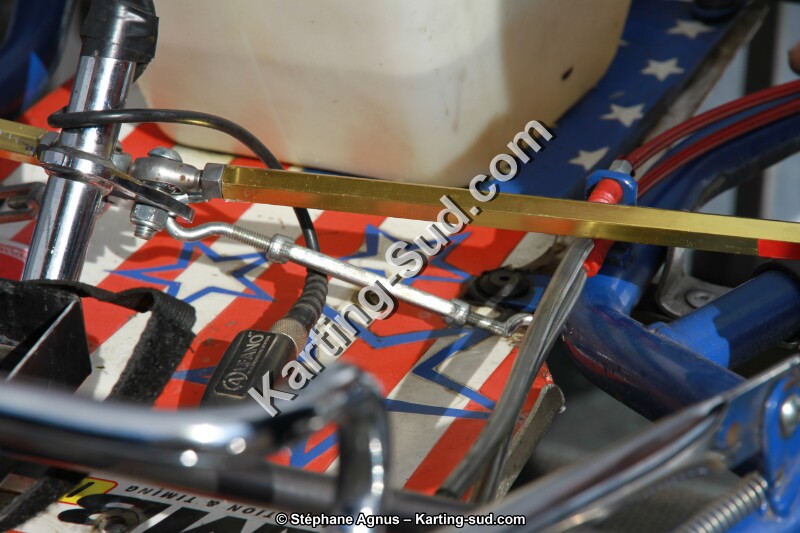 20140316-lavelanet-agnus 042.JPG